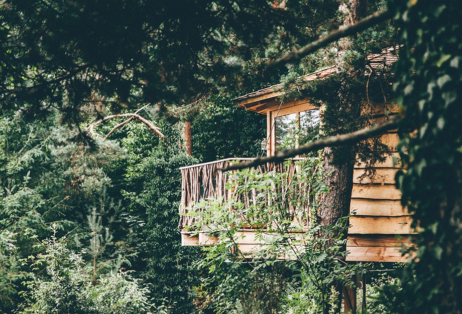 CABAÑAS EN LOS ÁRBOLES